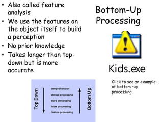 Bottom-Up
Processing
• Also called feature
analysis
• We use the features on
the object itself to build
a perception
• No prior knowledge
• Takes longer than top-
down but is more
accurate
Click to see an example
of bottom –up
processing.
 