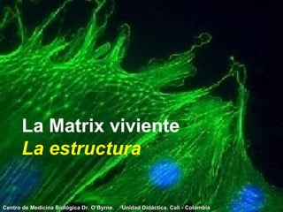 La Matrix viviente La estructura Centro de Medicina Biológica Dr. O’Byrne.  Unidad Didáctica. Cali - Colombia 