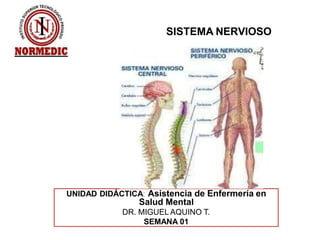 SISTEMA NERVIOSO
UNIDAD DIDÁCTICA: Asistencia de Enfermería en
Salud Mental
DR. MIGUEL AQUINO T.
SEMANA 01
 