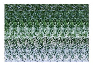 LEAD Stereograms Posters | PDF