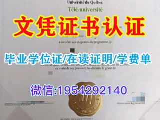 揭秘荷兰留学：如何获得伊拉斯姆斯大学毕业证？