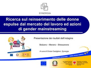SYNERGIA 
Ricerca sul reinserimento delle donne 
espulse dal mercato del lavoro ed azioni 
di gender mainstreaming 
Presentazione dei risultati dell’indagine 
Bolzano – Merano – Bressanone 
A cura di Cinzia Castiglioni, Synergia 
 