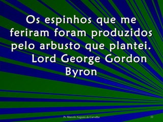 Os espinhos que me feriram foram produzidos pelo arbusto que plantei. Lord George Gordon Byron 