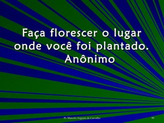 Faça florescer o lugar onde você foi plantado. Anônimo 
