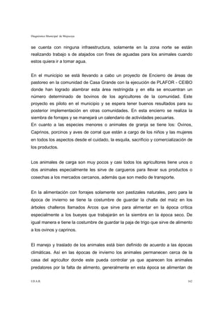 Diagnóstico Municipal de Mojocoya


se cuenta con ninguna infraestructura, solamente en la zona norte se están
realizando trabajo s de atajados con fines de aguadas para los animales cuando
estos quiera ir a tomar agua.


En el municipio se está llevando a cabo un proyecto de Encierro de áreas de
pastoreo en la comunidad de Casa Grande con la ejecución de PLAFOR - CEIBO
donde han logrado alambrar esta área restringida y en ella se encuentran un
número determinado de bovinos de los agricultores de la comunidad. Este
proyecto es piloto en el municipio y se espera tener buenos resultados para su
posterior implementación en otras comunidades. En esta encierro se realiza la
siembra de forrajes y se manejará un calendario de actividades pecuarias.
En cuanto a las especies menores o animales de granja se tiene los: Ovinos,
Caprinos, porcinos y aves de corral que están a cargo de los niños y las mujeres
en todos los aspectos desde el cuidado, la esquila, sacrificio y comercialización de
los productos.


Los animales de carga son muy pocos y casi todos los agricultores tiene unos o
dos animales especialmente les sirve de cargueros para llevar sus productos o
cosechas a los mercados cercanos, además que son medio de transporte.


En la alimentación con forrajes solamente son pastizales naturales, pero para la
época de invierno se tiene la costumbre de guardar la challa del maíz en los
árboles challeros llamados Arcos que sirve para alimentar en la época crítica
especialmente a los bueyes que trabajarán en la siembra en la época seco. De
igual manera e tiene la costumbre de guardar la paja de trigo que sirve de alimento
a los ovinos y caprinos.


El manejo y traslado de los animales está bien definido de acuerdo a las épocas
climáticas. Así en las épocas de invierno los animales permanecen cerca de la
casa del agricultor donde este pueda controlar ya que aparecen los animales
predatores por la falta de alimento, generalmente en esta época se alimentan de


I.D.A.R.                                                                         162
 