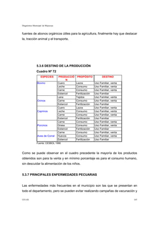 Diagnóstico Municipal de Mojocoya


fuentes de abonos orgánicos útiles para la agricultura, finalmente hay que destacar
la, tracción animal y el transporte.




               5.3.6 DESTINO DE LA PRODUCCIÓN
               Cuadro Nº 72
                   ESPECIES          PRODUCCIÓ    PROPÓSITO            DESTINO
                                           N
                Bovino              Cuero        Lazos           Uso Familiar,   venta
                                    Leche        Consumo         Uso Familiar,   venta
                                    Carne        Consumo         Uso Familiar,   venta
                                    Estiercol    Fertilización   Uso Familiar
                                    Lana         Tejidos         Uso Familiar,   venta
                Ovinos              Carne        Consumo         Uso Familiar,   venta
                                    Estiercol    Fertilización   Uso Familiar
                                    Cuero        Lazos           Uso Familiar,   venta
                Caprinos            Leche        Consumo         Uso Familiar,   venta
                                    Carne        Consumo         Uso Familiar,   venta
                                    Estiercol    Fertilización   Uso Familiar
                                    Carne        Consumo         Uso Familiar,   venta
                Porcinos            Grasa        Consumo         Uso Familiar,   venta
                                    Estiercol    Fertilización   Uso Familiar
                                    Carne        Consumo         Uso Familiar,   venta
                Aves de Corral      Huevos       Consumo         Uso Familiar,   venta
                                    Estiercol    Fertilización   Uso Familiar
               Fuente: CESBOL 1998



Como se puede observar en el cuadro precedente la mayoría de los productos
obtenidos son para la venta y en mínimo porcentaje es para el consumo humano,
sin descuidar la alimentación de los niños.


5.3.7 PRINCIPALES ENFERMEDADES PECUARIAS


Las enfermedades más frecuentes en el municipio son las que se presentan en
todo el departamento, pero se pueden evitar realizando campañas de vacunación y

I.D.A.R.                                                                                 165
 