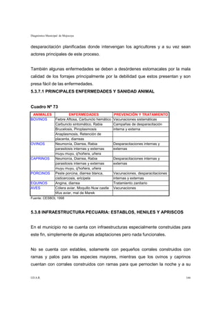 Diagnóstico Municipal de Mojocoya


desparacitación planificadas donde intervengan los agricultores y a su vez sean
actores principales de este proceso.


También algunas enfermedades se deben a desórdenes estomacales por la mala
calidad de los forrajes principalmente por la debilidad que estos presentan y son
presa fácil de las enfermedades.
5.3.7.1 PRINCIPALES ENFERMEDADES Y SANIDAD ANIMAL


Cuadro Nº 73
 ANIMALES                   ENFERMEDADES               PREVENCIÓN Y TRATAMIENTO
BOVINOS           Fiebre Aftosa, Carbunclo hemático   Vacunaciones sistemáticas
                  Carbunclo sintomático, Rabia        Campañas de desparacitación
                  Brucelosis, Piroplasmosis           interna y externa
                  Anaplasmosis, Retención de
                  placenta, diarreas
OVINOS            Neumonía, Diarrea, Rabia            Desparacitaciones internas y
                  parasitosis internas y externas     externas
                  muyu muyu, q'hoñera, uñera
CAPRINOS          Neumonía, Diarrea, Rabia            Desparacitaciones internas y
                  parasitosis internas y externas     externas
                  muyu muyu, q'hoñera, uñera
PORCINOS          Peste porcina, diarrea blanca,      Vacunaciones, desparacitaciones
                  cisticercosis, ericipela            internas y externas
EQUINOS           Angina, diarrea                     Tratamiento zanitario
AVES              Cólera aviar, Moquillo Nuw castle   Vacunaciones
                  tifus aviar, mal de Marek
Fuente: CESBOL 1998



5.3.8 INFRAESTRUCTURA PECUARIA: ESTABLOS, HENILES Y APRISCOS


En el municipio no se cuenta con infraestructuras especialmente construidas para
este fin, simplemente de algunas adaptaciones pero nada funcionales.


No se cuenta con estables, solamente con pequeños corrales construidos con
ramas y palos para las especies mayores, mientras que los ovinos y caprinos
cuentan con corrales construidos con ramas para que pernocten la noche y a su

I.D.A.R.                                                                                166
 
