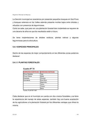 Diagnóstico Municipal de Mojocoya


La Sección municipal se caracteriza por presentar pequeños bosques en Sub Puna
y bosques extensos en los Valles además presenta montes bajos entre árboles y
arbustos con presencia de leguminosas.
Como se sabe, que para ver una plantación forestal bien implantada se requiere de
una decena de años es que los resultados están a futuro.


Se tiene implantaciones de árboles exóticos, plantas nativas y algunas
leguminosas para la silvicultura.


5.4.1 ESPECIES PRINCIPALES


Dentro de las especies de mejor comportamiento en las diferentes zonas podemos
destacar:


5.4.1.1 PLANTAS FORESTALES


                   Cuadro Nº 74
                    ESPECIES EXÓTICAS    ESPECIES NATIVAS
                    Pinus Radiata        Tipa
                    Pinus Pátula         Molle
                    Cipreses             Churqui
                    Leucaena             Kina Kina
                                         Algarrobo
                                         Tarco
                                         Th'aco
                                         Mara
                   Fuente: PLAFOR 1997



Cabe destacar que en el municipio se cuenta con dos viveros forestales y se tiene
la experiencia del manejo de estas especies, también hay una buena aceptación
de los agricultores a la plantación forestal por los diferentes ventajas que ofrece la
misma.



I.D.A.R.                                                                           168
 
