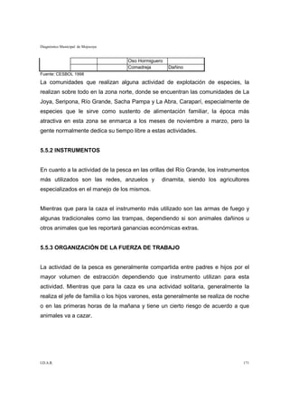 Diagnóstico Municipal de Mojocoya


                                    Oso Hormiguero
                                    Comadreja        Dañino
Fuente: CESBOL 1998

La comunidades que realizan alguna actividad de explotación de especies, la
realizan sobre todo en la zona norte, donde se encuentran las comunidades de La
Joya, Seripona, Río Grande, Sacha Pampa y La Abra, Caraparí, especialmente de
especies que le sirve como sustento de alimentación familiar, la época más
atractiva en esta zona se enmarca a los meses de noviembre a marzo, pero la
gente normalmente dedica su tiempo libre a estas actividades.


5.5.2 INSTRUMENTOS


En cuanto a la actividad de la pesca en las orillas del Río Grande, los instrumentos
más utilizados son las redes, anzuelos y         dinamita, siendo los agricultores
especializados en el manejo de los mismos.


Mientras que para la caza el instrumento más utilizado son las armas de fuego y
algunas tradicionales como las trampas, dependiendo si son animales dañinos u
otros animales que les reportará ganancias económicas extras.


5.5.3 ORGANIZACIÓN DE LA FUERZA DE TRABAJO


La actividad de la pesca es generalmente compartida entre padres e hijos por el
mayor volumen de estracción dependiendo que instrumento utilizan para esta
actividad. Mientras que para la caza es una actividad solitaria, generalmente la
realiza el jefe de familia o los hijos varones, esta generalmente se realiza de noche
o en las primeras horas de la mañana y tiene un cierto riesgo de acuerdo a que
animales va a cazar.




I.D.A.R.                                                                          171
 