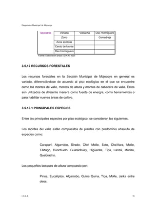 Diagnóstico Municipal de Mojocoya


                    Silvestres          Venado              Vizcacha   Oso Hormiguero
                                          Zorro                          Comadreja
                                     Aves exóticas
                                    Cerdo de Monte
                                    Oso Hormiguero
                 Fuente: Elaboración propia I.D.A.R. 2000




3.5.10 RECURSOS FORESTALES


Los recursos forestales en la Sección Municipal de Mojocoya en general es
variado, diferenciándose de acuerdo al piso ecológico en el que se encuentre
como los montes de valle, montes de altura y montes de cabecera de valle. Estos
son utilizados de diferente manera como fuente de energía, como herramientas o
para habilitar nuevas áreas de cultivo.


3.5.10.1 PRINCIPALES ESPECIES


Entre las principales especies por piso ecológico, se consideran las siguientes.


Los montes del valle están compuestos de plantas con predominio absoluto de
especies como:


                   Caraparí, Algarrobo, Sirado, Chiri Molle, Soto, Cha’ñara, Molle,
                   Tártago, Hunchuelo, Guaranhuay, Higuerilla, Tipa, Lanza, Morilla,
                   Quebracho.


Los pequeños bosques de altura compuesto por:


                   Pinos, Eucaliptos, Algarrobo, Quina Quina, Tipa, Molle, Jarka entre
                   otros.



I.D.A.R.                                                                                70
 