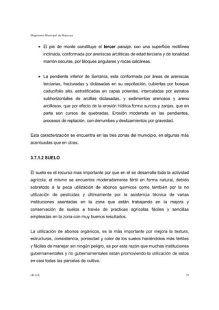 Diagnóstico Municipal de Mojocoya



      • El pie de monte constituye el tercer paisaje, con una superficie rectilínea
           inclinada, conformada por areniscas arciliticas de edad terciaria y de tonalidad
           marrón oscuras, por bloques angulares y rocas calcáreas.


      • La pendiente inferior de Serranía, esta conformada por áreas de areniscas
           terciarias, fracturadas y diclasadas en su expoliación, cubiertas por bosque
           caducifolio alto, estratificadas en capas potentes, intercaladas por estratos
           subhorizontales de arcillas diclasadas, y sedimentos arenosos y areno
           arcillosos, que por efecto de la erosión hídrica forma surcos y zanjas, que en
           parte son cursos de quebradas. Erosión moderada en las pendientes,
           procesos de reptación, con derrumbes y deslizamientos por gravedad.


Esta caracterización se encuentra en las tres zonas del municipio, en algunas más
acentuadas que en otras.


3.7.1.2 SUELO


El suelo es el recurso mas importante por que en el se desarrolla toda la actividad
agrícola, el mismo se encuentra moderadamente fértil en forma natural, debido
sobretodo a la poca utilización de abonos químicos como también por la no
utilización de pesticidas y últimamente por la asistencia técnica de varias
instituciones asentadas en la zona que están trabajando en la mejora y
conservación de suelos a través de practicas agrícolas fáciles y sencillas
empleadas en la zona con muy buenos resultados.


La utilización de abonos orgánicos, es la más importante por mejora la textura,
estructuras, consistencia, porosidad y color de los suelos haciéndolos más fértiles
y fáciles de manejar sin ningún peligro, es por esta razón que muchas instituciones
gubernamentales y no gubernamentales están promoviendo la utilización de estos
en casi todas las parcelas de cultivo.


I.D.A.R.                                                                                 79
 