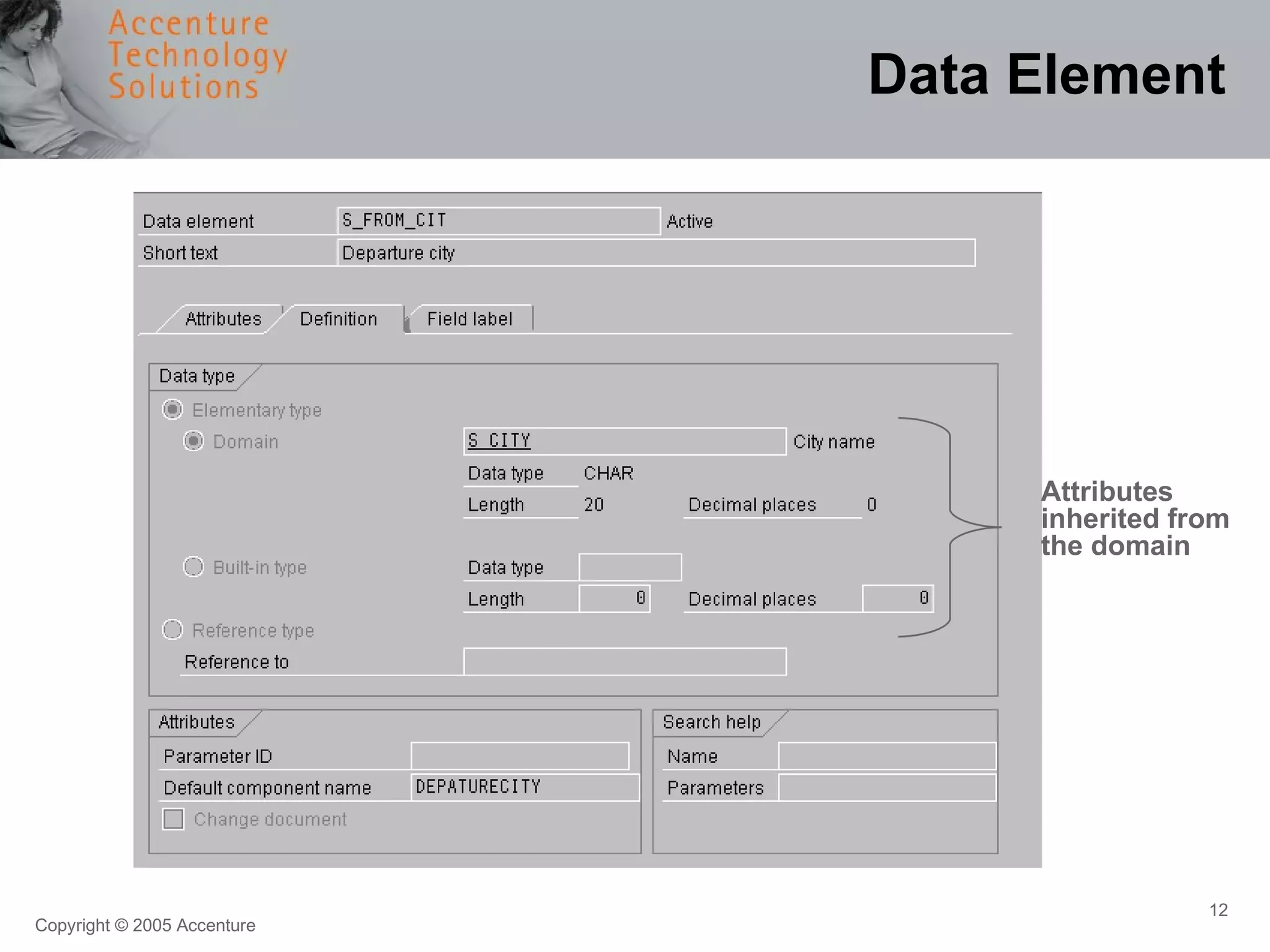 Data Element Attributes inherited from the domain 