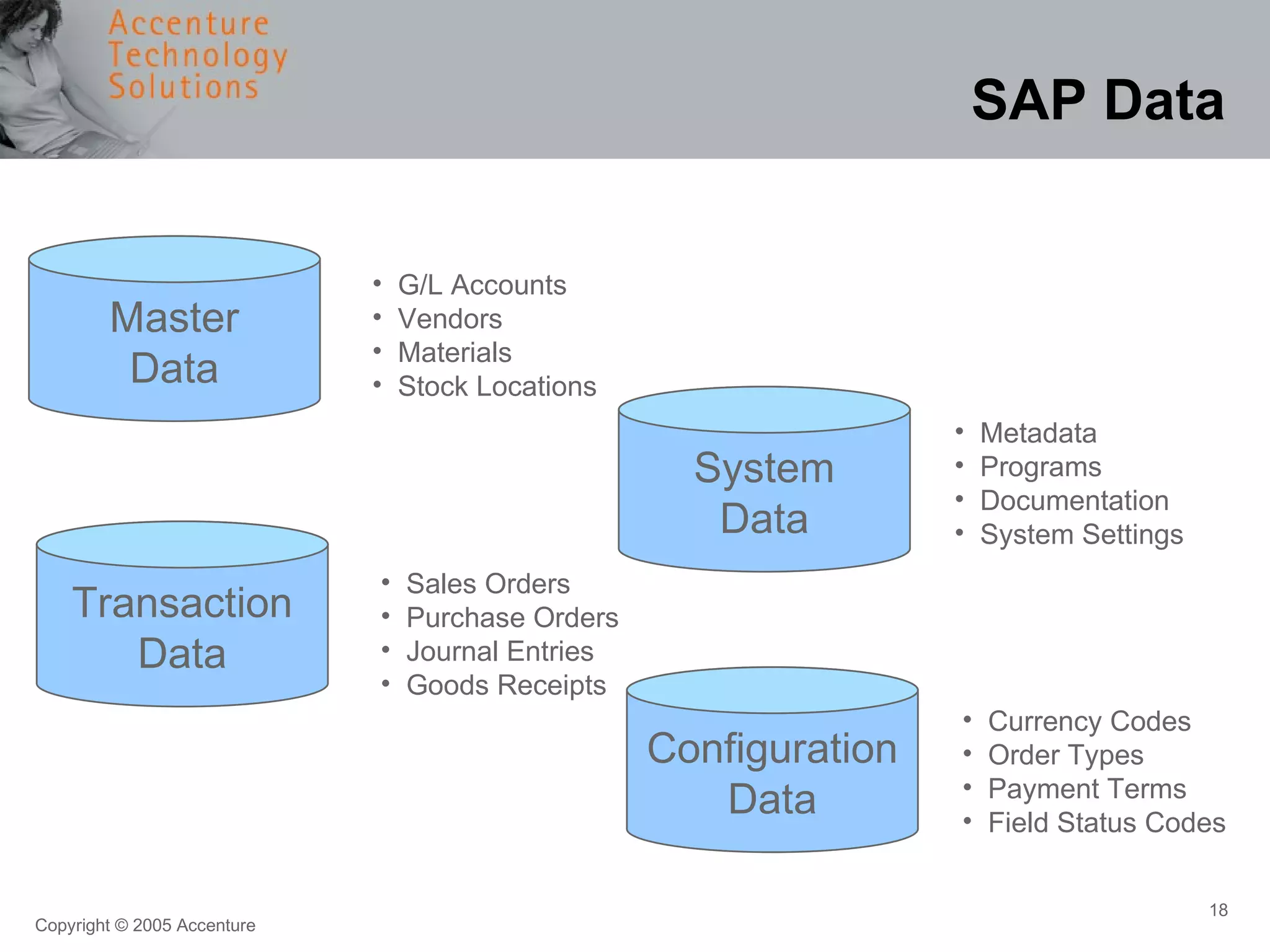 SAP Data Configuration Data Master Data Transaction Data System Data Sales Orders Purchase Orders Journal Entries Goods Receipts G/L Accounts Vendors Materials Stock Locations Metadata Programs Documentation System Settings Currency Codes Order Types Payment Terms Field Status Codes 