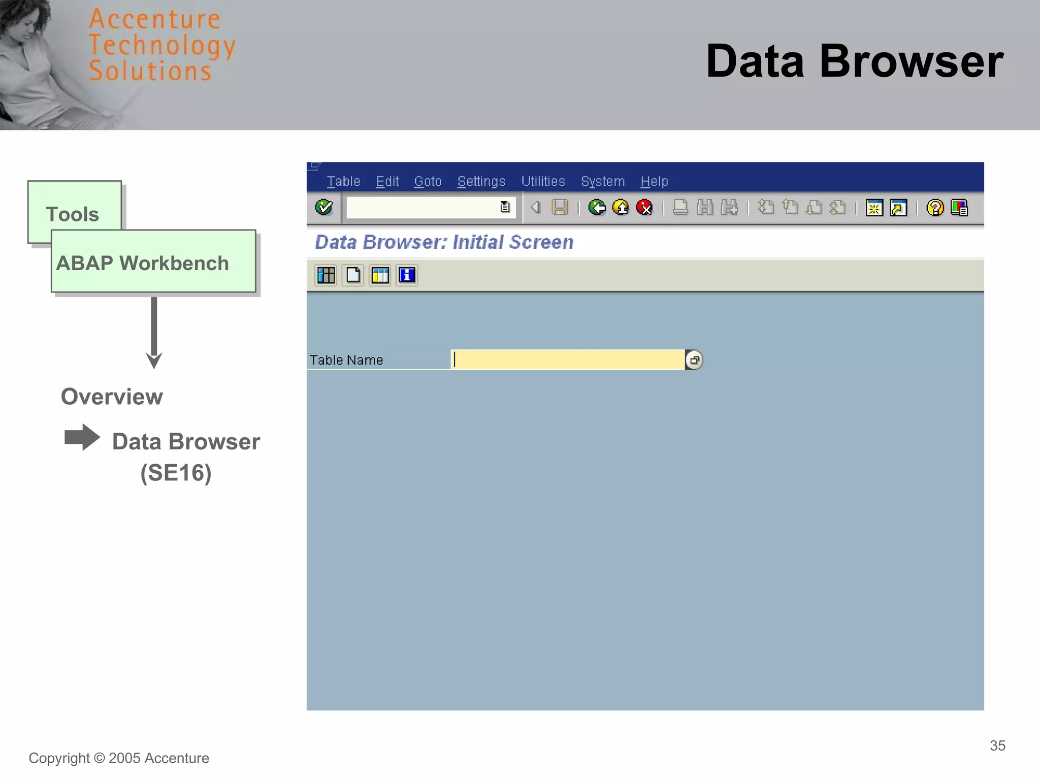 Data Browser ABAP Workbench Tools Overview Data Browser  (SE16) 