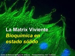 La Matrix Viviente Bioquímica en  estado sólido Centro de Medicina Biológica Dr. O’Byrne.  Unidad Didáctica. Cali - Colombia 