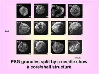 #30-2   #30-2   #16-2   #16-2




        #30-1    #30-1   #16-1   #16-1



ZnO




        #30-2    #30-1   #16-2   #16-1




                                         500m

      PSG granules split by a needle show
            a core/shell structure
 
