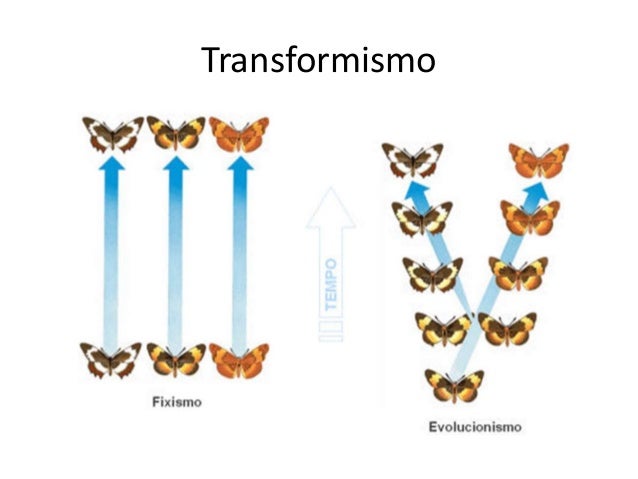 Transformismo: La Teoría Evolutiva que lo Cambia Todo_teoria_online Teoria de transformismo_teoria_online