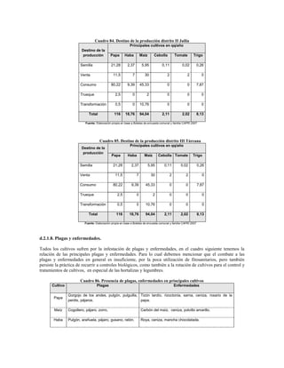 Cuadro 84. Destino de la producción distrito II Jailía
                                                            Principales cultivos en qq/año
                        Destino de la
                         producción          Papa       Haba          Maíz      Cebolla         Tomate      Trigo

                       Semilla                21,28       2,37         5,95          0,11           0,02          0,26

                       Venta                   11,5           7         30              2               2           0

                       Consumo                80,22       9,39        45,33             0               0         7,87

                       Trueque                   2,5          0          2              0               0           0

                       Transformación            0,5          0       10,76             0               0           0

                             Total              116     18,76         94,04          2,11           2,02          8,13

                          Fuente: Elaboración propia en base a Boletas de encuesta comunal y familia CAPRI 2007




                                     Cuadro 85. Destino de la producción distrito III Tárcana
                                                            Principales cultivos en qq/año
                        Destino de la
                         producción
                                              Papa        Haba          Maíz        Cebolla Tomate          Trigo

                       Semilla                 21,28         2,37            5,95     0,11         0,02           0,26

                       Venta                     11,5             7           30            2          2             0

                       Consumo                 80,22         9,39        45,33              0          0          7,87

                       Trueque                    2,5             0            2            0          0             0

                       Transformación             0,5             0      10,76              0          0             0

                             Total               116        18,76        94,04        2,11         2,02           8,13

                          Fuente: Elaboración propia en base a Boletas de encuesta comunal y familia CAPRI 2007




d.2.1.8. Plagas y enfermedades.

Todos los cultivos sufren por la infestación de plagas y enfermedades, en el cuadro siguiente tenemos la
relación de las principales plagas y enfermedades. Para lo cual debemos mencionar que el combate a las
plagas y enfermedades en general es insuficiente, por la poca utilización de fitosanitarios, pero también
persiste la práctica de recurrir a controles biológicos, como también a la rotación de cultivos para el control y
tratamientos de cultivos, en especial de las hortalizas y legumbres.

                       Cuadro 86. Presencia de plagas, enfermedades en principales cultivos
      Cultivo                      Plagas                                                       Enfermedades

                Gorgojo de los andes, pulgón, pulguilla, Tizón tardío, rizoctonia, sarna, ceniza, rosario de la
       Papa
                perdis, pájaros.                         papa.

        Maíz    Cogollero, pájaro, zorro,                             Carbón del maíz, ceniza, polvillo amarillo.

       Haba     Pulgón, arañuela, pájaro, gusano, ratón.              Roya, ceniza, mancha chocolatada.
 