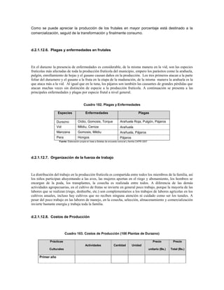 Como se puede apreciar la producción de los frutales en mayor porcentaje está destinado a la
comercialización, seguid de la transformación y finalmente consumo.



d.2.1.12.6. Plagas y enfermedades en frutales



En el durazno la presencia de enfermedades es considerable, de la misma manera en la vid, son las especies
frutícolas más afectadas de toda la producción frutícola del municipio, empero los parásitos como la arañuela,
pulgón, enrollamiento de hojas y el gusano causan daños en la producción. Los tres primeros atacan a la parte
foliar del duraznero y el gusano a la fruta en la etapa de la maduración, de la misma manera la arañuela es la
que ataca más a la vid. Al igual que en la tuna, los pájaros son también las causantes de grandes pérdidas que
atacan muchas veces sin distinción de especie a la producción frutícola. A continuación se presenta a las
principales enfermedades y plagas por especie frutal a nivel general.


                                          Cuadro 102. Plagas y Enfermedades

                  Especies                  Enfermedades                                       Plagas

                  Durazno           Oídio, Gomosis, Torque                   Arañuela Roja, Pulgón, Pájaros
                  Vid               Mildiu, Ceniza                           Arañuela
                  Manzana           Gomosis, Mildiu                          Arañuela, Pájaros
                  Pera              Hongos                                   Pájaros
                   Fuente: Elaboración propia en base a Boletas de encuesta comunal y familia CAPRI 2007




d.2.1.12.7. Organización de la fuerza de trabajo



La distribución del trabajo en la producción frutícola es compartida entre todos los miembros de la familia, así
los niños participan ahuyentando a las aves, las mujeres aportan en el riego y abonamiento, los hombres se
encargan de la poda, los transplantes, la cosecha es realizada entre todos. A diferencia de las demás
actividades agropecuarias, en el cultivo de frutas se invierte en general poco trabajo, porque la mayoría de las
labores que se realizan (riego, deshierbe, etc.) son complementarios a los trabajos de labores agrícolas en los
cultivos anuales, incluso hay cultivos que no reciben ninguna atención ni cuidado como ser los tunales. A
pesar del poco trabajo en las labores de manejo, en la cosecha, selección, almacenamiento y comercialización
invierte bastante energía y trabaja toda la familia.


d.2.1.12.8. Costos de Producción



                         Cuadro 103. Costos de Producción (100 Plantas de Durazno)

             Prácticas                                                                                        Precio          Precio
                                            Actividades                Cantidad          Unidad
            Culturales                                                                                     unitario (Bs.)   Total (Bs.)

     Primer año
 