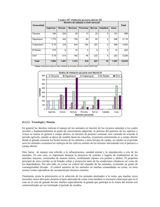 Cuadro 107. Población pecuaria distrito III
                                                     Número de cabezas a nivel comunal
         Comunidad                                                                                                          Total
                                  Caprinos    Ovinos      Bovinos       Porcinos       Burros       Caballos     Aves

         Tárcana                       190         224            39            17           23            4       101         598

         Higuerayoc                  1.175         342           155            63           83            2       298       2.118

         Colpanayoc                    3.15        318           424           184          291            0       556       4.923

         El Rodeo                      210            9           15              0            8           0        10         252

         Chiri                         3.18        514           740            46          222            4       322       5.028

           Total                     7.905       1.407         1.373           310          627          10      1.287      12.919

            Fuente: Elaboración propia en base a Boletas de encuesta comunal y familia CAPRI 2007



                                                Gráfico 25. Población pecuaria nivel Distrito III
                            800       Tárcana         Higuerayoc            Colpanayoc              El Rodeo        Chiri
                            700

                            600

                            500
                 Cantidad




                            400

                            300

                            200

                            100

                             0
                                   Caprinos     Ovinos      Bovinos   Porcinos    Burros              Caballos     Aves
                                                                 Especies pecuarias


d.2.2.2. Tecnología y Manejo

En general las familias realizan el manejo de los animales en función de los recursos naturales a los cuales
acceden y fundamentalmente al grado de conocimiento adquirido, la práctica del pastoreo de los caprinos y
ovinos se realiza en general a campo abierto, en terrenos de pastoreo comunal, esto variando de acuerdo al
periodo agrícola, cuando se época de siembra hasta las cosechas, el pastoreo enteramente es a campo abierto
donde el ganado consume los brotes tiernos de los arbustos y otros forrajes de campo, en cambio en el periodo
seco los animales consumen los rastrojos de los cultivos anuales de los terrenos intercalando con el pastoreo a
campo abierto.

Otro factor de manejo esta referido a la infraestructura, sanidad animal y la reproducción o cría de los
animales. En este caso, es importante destacar la presencia de corrales o lugares de estabulación de los
animales mayores, construidos de manera rústica, combinando espinos con piedras o adobes. El propósito
principal de estos corrales es de brindar cobijo y protección tanto de las condiciones climáticas así como de
los depredadores. Por otro lado, no existe un control del empadre de los animales, existiendo un grado de
consanguinidad elevado, el control sanitario de los animales en muchas comunidades no existe, en otros
existen visitas esporádicas de vacunación por técnicos externos.

Finalmente existe la priorización en la selección de los animales destinados a la venta, que muchas veces
necesitan varios años para alcanzar el peso adecuado de venta como también es necesario mencionar que en el
caso en el caso de ganado bovino muchos especialmente el ganada que participa en la rotura del terreno son
comercializados un vez terminado el periodo de siembra.
 