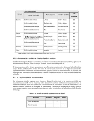 Tipo de enfermedad
                                                                                                                          % de
       Ganado
                                                                         Nombre común               Nombre científico
                                Tipo de enfermedad
                                                                                                                        incidencia

     Bovino           Enfermedad virótica                           Uñera                           Fiebre aftosa          30

                      Enfermedad virótica                           Sucho onq’oy                    Fiebre rábica          30

                      Enfermedad bacteriana                         K’echalera/diarrea              Escherichia coli       30

                      Enfermedad bacteriana                         Tos                             Neumonía               20

     Ovino            Enfermedad virótica                           Uñera                           Fiebre aftosa          40

     Caprino           Enfermedad virótica                          Sucho onq’oy                    Fiebre rábica          40
                      Enfermedad bacteriana.
                                                                    K’echalera/diarrea              Escherichia coli       40
                      Enfermedad bacteriana.
                                                                    Tos                             Neumonía               30

     Porcino          Enfermedad virótica                           Peste porcina                   Peste porcina          20

     Aves             Enfermedad virótica                           Moquillo                        Coriza                 40

        Fuente: Elaboración propia en base a Boletas de encuesta comunal y familia CAPRI 2007




d.2.2.9. Infraestructura productiva: Establos, Heniles y Apriscos.

La infraestructura para albergar a los animales, se reduce a la construcción de pequeños corrales y apriscos, en
base a materiales del lugar, como el churqui, el adobe, la tierra para los tapiales, etc.

El almacenamiento de los forrajes generalmente se realiza a través de depósitos rústicos, o la henificación a
campo abierto, también en los molles, otra forma de conservación es a través de los depósitos cerca de las
viviendas familiares. También es necesario mencionar que para realizar las desparasitaciones no se cuenta con
infraestructura para realizar baños antisarnicos y los que escasamente existen no están en condiciones de ser
utilizadas.

d.2.2.10. Organización de la fuerza de trabajo

La crianza de animales requiere mayor tiempo y dedicación sobre todo en el pastoreo, actividad que
mayormente es asumida por las mujeres y niños. La atención sanitaria también recae mayormente bajo la
responsabilidad de la mujer. La construcción y mantenimiento de los corrales es tarea de los hombres. Los
ancianos, también colaboran en el cuidado de los animales. Finalmente la producción de forraje, alfalfa y
otros cereales o pastos es una actividad compartida entre todos los miembros de la familia, según la división
del trabajo.

                                 Cuadro 116. División del trabajo (ejemplo crianza de cabras)


                                          Actividad                      Hombres           Mujeres       Ambos

                              Llevar al pastoreo                                                



                              Atender partos                                                                 
 