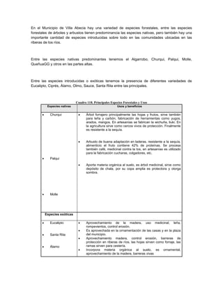 En el Municipio de Villa Abecia hay una variedad de especies forestales, entre las especies
forestales de árboles y arbustos tienen predominancia las especies nativas, pero también hay una
importante cantidad de especies introducidas sobre todo en las comunidades ubicadas en las
riberas de los ríos.



Entre las especies nativas predominantes tenemos el Algarrobo, Churqui, Palqui, Molle,
QueñuaGG y otros en las partes altas.



Entre las especies introducidas o exóticas tenemos la presencia de diferentes variedades de
Eucalipto, Ciprés, Álamo, Olmo, Sauce, Santa Rita entre las principales.



                              Cuadro 118. Principales Especies Forestales y Usos
           Especies nativas                                Usos y beneficios

            Churqui                Árbol forrajero principalmente las hojas y frutos, sirve también
                                     para leña y carbón, fabricación de herramientas como yugos,
                                     arados, mangos. En artesanías se fabrican la wichuña, liuki. En
                                     la agricultura sirve como cercos vivos de protección. Finalmente
                                     es resistente a la sequía.


                                    Arbusto de buena adaptación en laderas, resistente a la sequía,
                                     alimenticio el fruto contiene 42% de proteínas. Se procesa
                                     también café, medicinal contra la tos, en artesanías es utilizado
                                     para la fabricación cucharas, colgadores, etc.
            Palqui
                                    Aporta materia orgánica al suelo, es árbol medicinal, sirve como
                                     depósito de chala, por su copa amplia es protectora y otorga
                                     sombra.




            Molle




          Especies exóticas

            Eucalipto              Aprovechamiento de la madera, uso medicinal, leña,
                                     rompevientos, control erosión.
                                    Es aprovechada en la ornamentación de las casas y en la plaza
            Santa Rita              del municipio.
                                    Aprovechamiento madera, control erosión, barreras de
                                     protección en riberas de ríos, las hojas sirven como forraje, las
            Álamo                   ramas sirven para cestería.
                                    Incorpora materia orgánica al suelo, es ornamental,
                                     aprovechamiento de la madera, barreras vivas
 