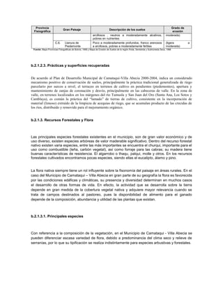 Provincia                                                                                                                         Grado de
                              Gran Paisaje                                 Descripción de los suelos
  Fisiográfica                                                                                                                        erosión
                                                           arcillosos , neutros a moderadamente alcalinos,                        moderada)
                                                           pobres en nutrientes
                      C.6.     Llanura de                  Poco a moderadamente profundos, franco arenosos                        (ligera       a
                               Piedemonte                  a arcillosos, pobres a moderadamente fértiles                          moderada)
 Fuente: Mapa Provincias Fisiográficas de Bolivia, 1998 y Mapa de Erosión de Suelos de la región Ärida, Semiárida y Subhúmeda Seca, 1998




b.2.1.2.3. Prácticas y superficies recuperadas


De acuerdo al Plan de Desarrollo Municipal de Camataqui-Villa Abecia 2000-2004, indica un considerado
mecanismo positivo de conservación de suelos, principalmente la práctica tradicional generalizada de riego
parcelario por surcos a nivel, el terraceo en terrenos de cultivo en pendientes (piedemontes), apertura y
mantenimiento de zanjas de coronación y desvío, principalmente en las cabeceras de valle. En la zona de
valle, en terrenos localizados en los márgenes del río Tumusla y San Juan del Oro (Santa Ana, Los Sotos y
Camblaya), es común la práctica del “lamado” de tierras de cultivo, consistente en la incorporación de
material (limoso) extraído de la limpieza de acequias de riego, que se acumulan producto de las crecidas de
los ríos, distribuido y removido para el mejoramiento orgánico.


b.2.1.3. Recursos Forestales y Flora



Las principales especies forestales existentes en el municipio, son de gran valor económico y de
uso diverso, existen especies arbóreas de valor maderable significativo. Dentro del recurso forestal
nativo existen varia especies, entre las más importantes se encuentra el churqui, importante para el
uso como combustible (leña, carbón vegetal), así como forraje para las cabras; su madera tiene
buenas características de resistencia. El algarrobo o thaqu, palqui, molle y otros. En los recursos
forestales cultivados encontramos pocas especies, siendo ellas el eucalipto, álamo y pino.


La flora nativa siempre tiene un rol influyente sobre la fisonomía del paisaje en áreas rurales. En el
caso del Municipio de Camataqui – Villa Abecia en gran parte de su geografía la flora es favorecida
por las condiciones edáficas y climáticas, su presencia y diversidad determinan en muchos casos
el desarrollo de otras formas de vida. En efecto, la actividad que se desarrolla sobre la tierra
depende en gran medida de la cobertura vegetal nativa y adquiere mayor relevancia cuando se
trata de campos destinados al pastoreo, pues la disponibilidad de alimento para el ganado
depende de la composición, abundancia y utilidad de las plantas que existan.



b.2.1.3.1. Principales especies



Con referencia a la composición de la vegetación, en el Municipio de Camataqui - Villa Abecia se
pueden diferenciar escasa variedad de flora, debido a predominancia del clima seco y relieve de
serranías, por lo que su tipificación se realiza indistintamente para especies arbustivas y forestales.
 