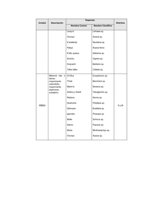 Especies
Unidad    Descripción                                                 Distritos
                              Nombre Común        Nombre Científico

                          Lloqu’e                Litrhaea sp

                          Churqui                Acacia sp.

                          K’arallanta            Nicotiana sp

                          Palqui                 Acacia ferox

                          K’ellu quisca          Adesmia sp.

                          Sunchu                 Vigrera sp.

                          Anacachi               Barberis sp.

                          Talka talka            Colletia sp.

         Matorral ralo o Ch’illca                Eurpatorium sp.
         denso,
         mayormente      Thola                   Baccharis sp.
         caducifolio,
         mayormente      Maich’a                 Senecio sp.
         espinosos,
         subalpino       Añahui y Kanlli         Tetraglochin sp.

                          Retama                 Senna sp

                          Quehuiña               Polylepis sp.
IIIB5d                                                                 II y III
                          Qishuara               Buddleia sp.

                          lgarrobo               Prosopis sp.

                          Molle                  Schinus sp.

                          Alamo                  Populus sp.

                          Muña                   Minthostachys sp.

                          Churqui                Acacia sp.
 