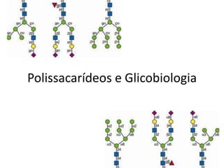 Polissacarídeos e Glicobiologia
 