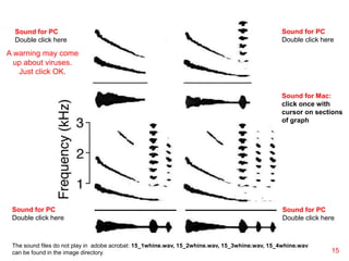 Call sounds
15
Sound for PC
Double click here
Sound for PC
Double click here
Sound for PC
Double click here
Sound for PC
Double click here
Sound for Mac:
click once with
cursor on sections
of graph
The sound files do not play in adobe acrobat: 15_1whine.wav, 15_2whine.wav, 15_3whine.wav, 15_4whine.wav
can be found in the image directory.
A warning may come
up about viruses.
Just click OK.
 