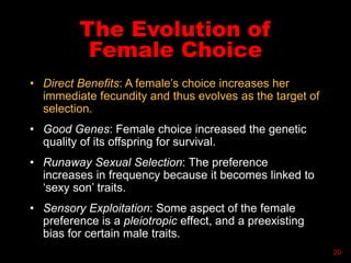 • Direct Benefits: A female’s choice increases her
immediate fecundity and thus evolves as the target of
selection.
• Good Genes: Female choice increased the genetic
quality of its offspring for survival.
• Runaway Sexual Selection: The preference
increases in frequency because it becomes linked to
‘sexy son’ traits.
• Sensory Exploitation: Some aspect of the female
preference is a pleiotropic effect, and a preexisting
bias for certain male traits.
20
The Evolution of
Female Choice
 