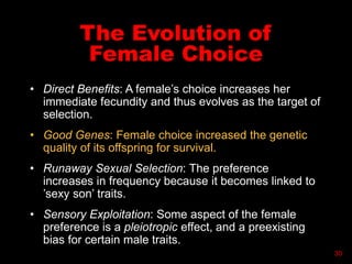 The Evolution of
Female Choice
• Direct Benefits: A female’s choice increases her
immediate fecundity and thus evolves as the target of
selection.
• Good Genes: Female choice increased the genetic
quality of its offspring for survival.
• Runaway Sexual Selection: The preference
increases in frequency because it becomes linked to
’sexy son’ traits.
• Sensory Exploitation: Some aspect of the female
preference is a pleiotropic effect, and a preexisting
bias for certain male traits.
30
 