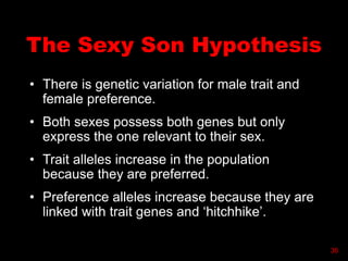 The Sexy Son Hypothesis
• There is genetic variation for male trait and
female preference.
• Both sexes possess both genes but only
express the one relevant to their sex.
• Trait alleles increase in the population
because they are preferred.
• Preference alleles increase because they are
linked with trait genes and ‘hitchhike’.
36
 