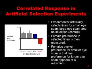 Correlated Response in
Artificial Selection Experiments
• Experimenter artificially
selects lines for small eye
span, large eye span, and
no selection (control).
• Female preference in
selected lines is then
measured.
• Females evolve
preference for smaller eye
span in that line,
preference for larger eye
span appears at a
maximum.
1.5
-1.5
Females
with
L - S males
Eye Span Selection Line
control long short
control
0
40
 