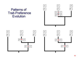 Patterns of Trait-Preference
Evolution
43
 