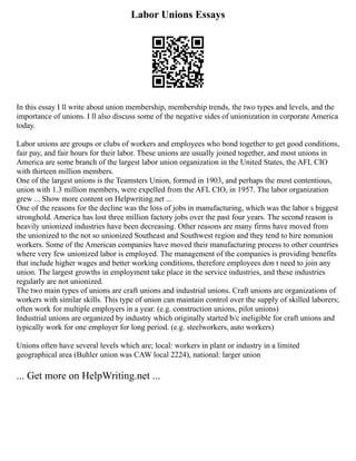 Work Introduction Paragraph Examples 010 Examples Of Introductory Paragraphs F | PDF
