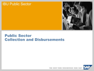 IBU Public Sector




 Public Sector
 Collection and Disbursements
 
