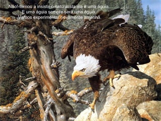 Não!-tornou a insistir o naturalista:ela é uma águia.  E uma águia sempre será uma águia.  Vamos experimentar novamente amanhã. 