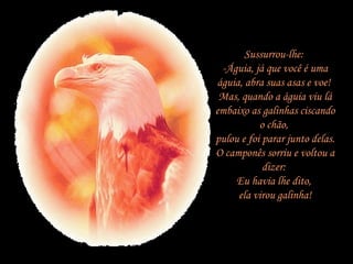 Sussurrou-lhe:  -Águia, já que você é uma águia, abra suas asas e voe!  Mas, quando a águia viu lá embaixo as galinhas ciscando o chão,  pulou e foi parar junto delas. O camponês sorriu e voltou a dizer:  Eu havia lhe dito,  ela virou galinha! 