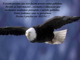 Existem pessoas que nos fazem pensar como galinhas. Devido as informações , exemplos e educação que recebemos acabamos pensando e agindo galinhas.  Todos podemos voar se quisermos. Porém é preciso ser ÀGUIA!!! 