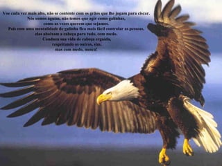Voe cada vez mais alto, não se contente com os grãos que lhe jogam para ciscar.  Nós somos águias, não temos que agir como galinhas,  como as vezes querem que sejamos.  Pois com uma mentalidade de galinha fica mais fácil controlar as pessoas,  elas abaixam a cabeça para tudo, com medo.  Conduza sua vida de cabeça erguida, respeitando os outros, sim,  mas com medo, nunca!  