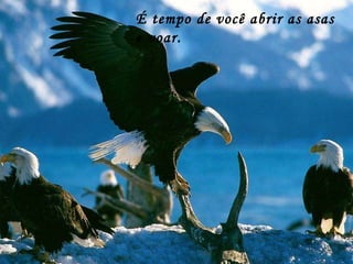 É tempo de você abrir as asas e voar. 