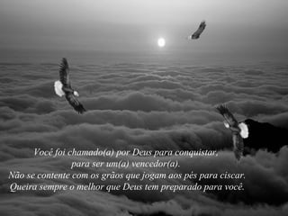 Você foi chamado(a) por Deus para conquistar,  para ser um(a) vencedor(a).  Não se contente com os grãos que jogam aos pés para ciscar.  Queira sempre o melhor que Deus tem preparado para você. 