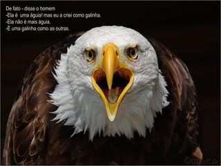 De fato - disse o homem -Ela é  uma águia! mas eu a criei como galinha.  -Ela não é mais águia.  -É uma galinha como as outras. 