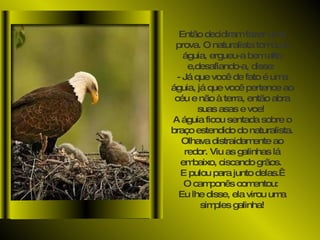 Então decidiram fazer uma prova. O naturalista tomou a águia, ergueu-a bem alto e,desafiando-a, disse:  - Já que você de fato é uma águia, já que você pertence ao céu e não à terra, então abra suas asas e voe!  A águia ficou sentada sobre o braço estendido do naturalista. Olhava distraidamente ao redor. Viu as galinhas lá embaixo, ciscando grãos.  E pulou para junto delas.   O camponês comentou:  Eu lhe disse, ela virou uma simples galinha! 