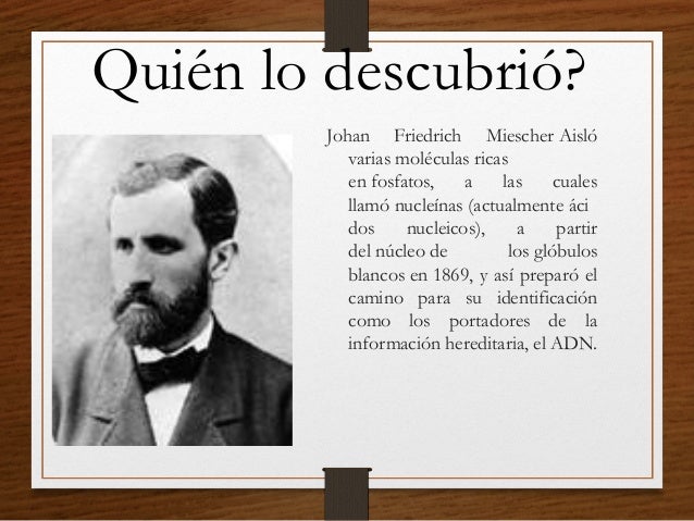 011.eq5.acidos nucleicos