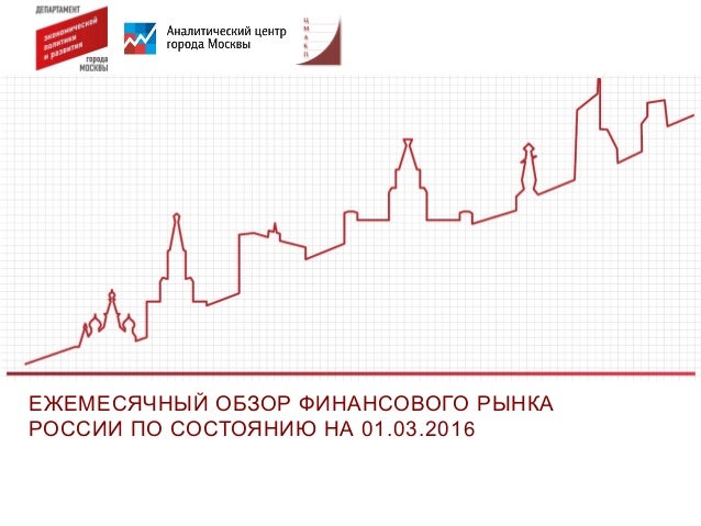 Обзор финансового рынка России 2009