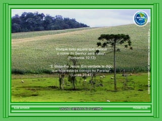 “ Porque todo aquele que invocar  o nome do Senhor será salvo”. (Romanos 10:13) “ E disse-lhe Jesus: Em verdade te digo  que hoje estarás comigo no Paraíso”. (Lucas 23:43) SLIDE ANTERIOR PRÓXIMO SLIDE LANCANDO SEMENTES PELOS CAMINHOS ™  ESTE POWER POINT E PROPRIEDADE  EXCLUSIVA DE JESUS CRISTO GRUPO LANÇANDO SEME NTES PELOS CAMINHOS REFLEXÃO 2011 