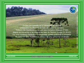 O caso em questão foi a conversão de um dos  criminosos crucificados ao lado de Jesus no Calvário.  Primeiro ele blasfemou junto com seu cúmplice (Mateus 27:44),  depois se converteu e se colocou ao lado do Senhor (Lucas 23:39-43).  Foi uma mudança repentina e inesperada, porém profunda e completa.  As palavras dele mostram os passos de uma genuína conversão: SLIDE ANTERIOR PRÓXIMO SLIDE LANCANDO SEMENTES PELOS CAMINHOS ™  ESTE POWER POINT E PROPRIEDADE  EXCLUSIVA DE JESUS CRISTO GRUPO LANÇANDO SEME NTES PELOS CAMINHOS REFLEXÃO 2011 