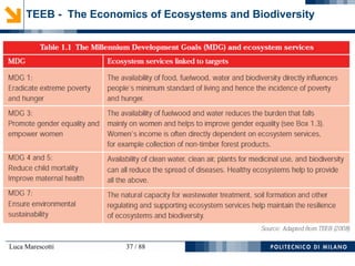 Luca Marescotti 37 / 88
TEEB - The Economics of Ecosystems and Biodiversity
 